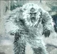 Yeti monster 