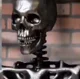Steel Skeleton