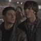 THE WINCHESTERS