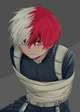 TODOROKI SHOTO
