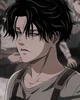 Levi Ackerman 