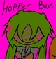 Hopper bun