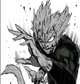 Garou