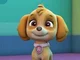 skye from paw patrol