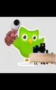 Duolingo 