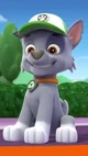 rocky from paw patro