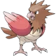 Spearow