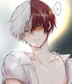 Shoto todoroki 