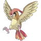 Pidgeotto