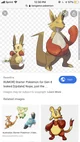 Your own pokemon 