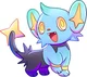 Shinx