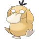 Psyduck