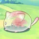 Raindrop Cat