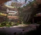 Infected Mall