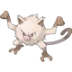Mankey