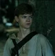 Newt 