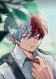Shoto Todoroki