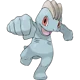 Machop