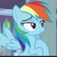 rainbow dash