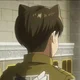 Levi Ackerman-cat