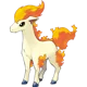 Ponyta