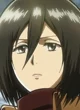 Mikasa Ackerman 