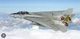 F14 Tomcat