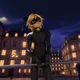 Cat Noir 