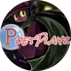 Poetplayz 