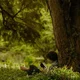 CMBYN