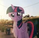 Twilight sparkle