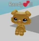 Randy lps