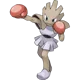 Hitmonchan