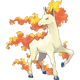 Rapidash