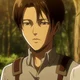 Levi Ackerman 