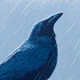 Raven and Rain