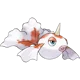 Goldeen