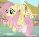 Fluttershy 