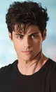 alec lightwood