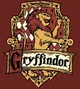 Gryffindor boys