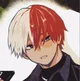 Shoto Todoroki 