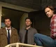 TEAM FREE WILL