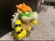 Bowser
