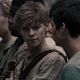 newt