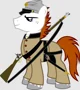 Confederate pony 