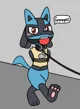 Lucario Bondage Pet