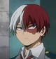 Todoroki shoto 