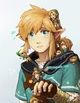 Link Wyld -BOTW-