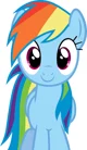 Rainbow dash 