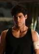 alec lightwood